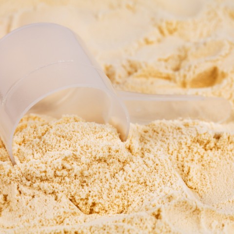 A scoop of vanilla whey isolate protein